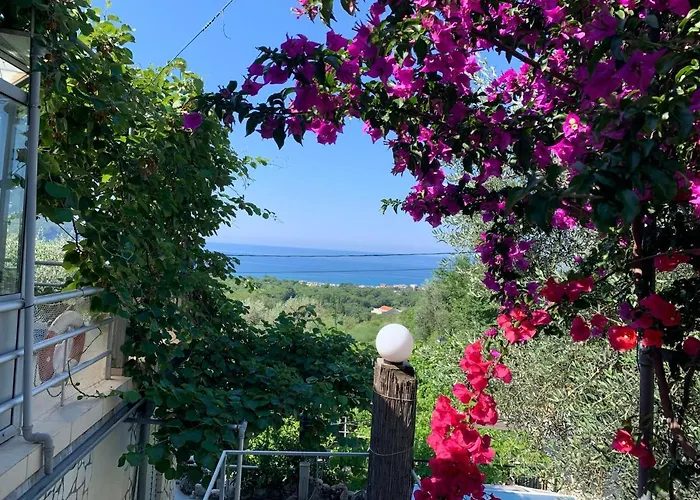 Petrovac Beach hotels