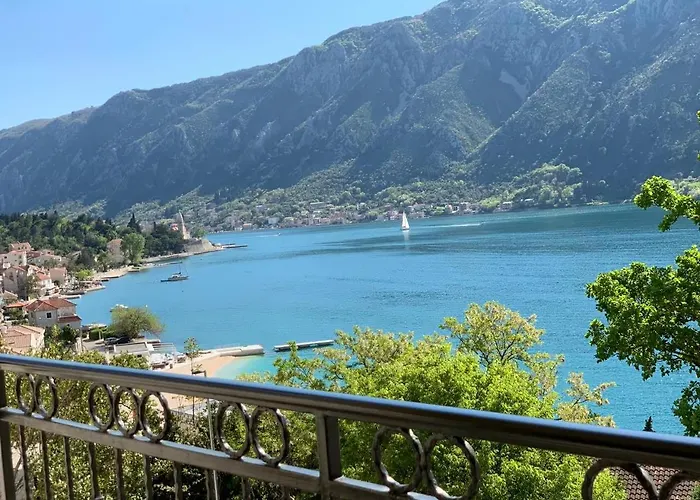 Pet friendly Absolute Apartman Kotor