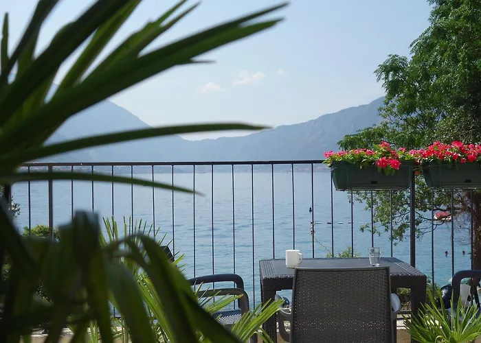 Kotor Hotels